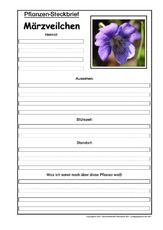 Pflanzensteckbrief-Märzveilchen.pdf